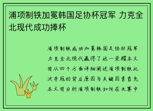 浦项制铁加冕韩国足协杯冠军 力克全北现代成功捧杯
